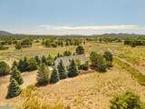 12870 Doyle Road - Photo 47