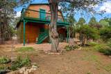 2933 Wildcat Trail - Photo 37