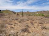 15935 Ringtail Trail - Photo 12
