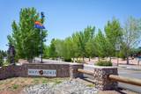 2399 Quarter Horse Trail - Photo 1