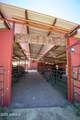 9900 Sycamore Pass Road - Photo 42