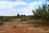 653 Border Road - Photo 28