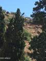 127 High Road - Photo 32