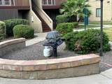 14203 19th Avenue - Photo 16