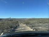 00 Dragonshead 6.44Ac Road - Photo 42