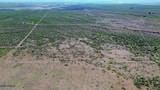 40 Acres Ryolite Road - Photo 4