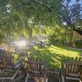 315 Willard Street - Photo 25