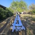 315 Willard Street - Photo 28