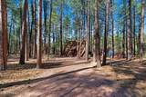 370 Coyote Trail - Photo 33