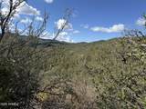 22865 Gladiator Mine Road - Photo 4