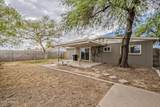 226 Cholla Street - Photo 38