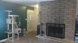 44 3RD Street - Photo 6