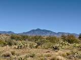 13401 Walts Way - Photo 42