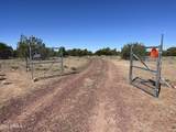 613 Mountain Cat Road - Photo 6