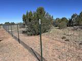 613 Mountain Cat Road - Photo 7