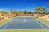 3614 Sonoran Hills - Photo 49