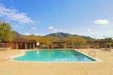 3614 Sonoran Hills - Photo 50