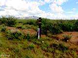 TBD Austin Henely Road - Photo 2