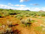 TBD Austin Henely Road - Photo 8