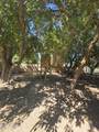 5338 La Mirada Drive - Photo 61