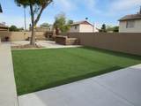 6917 Cholla Street - Photo 12