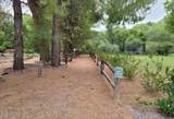 10295 Cottonwood Court - Photo 17