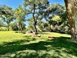 10295 Cottonwood Court - Photo 35