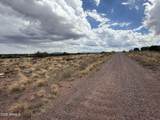 Lot 4 Ranch Of The White Mountains - Photo 2