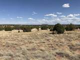 Lot 4 Ranch Of The White Mountains - Photo 7