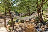 1474 Eureka Ridge Way - Photo 50