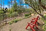1474 Eureka Ridge Way - Photo 53