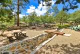 1474 Eureka Ridge Way - Photo 55