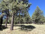 0 Forest Road 193 - Photo 7