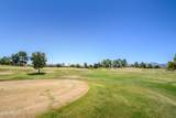 17637 Goldwater Drive - Photo 43