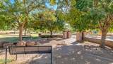 36071 Seville Drive - Photo 48