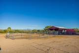 1302 Coyote Trail - Photo 48