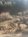 XX Black Peak Road - Photo 2