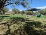 1817 Horsetail Trail - Photo 29