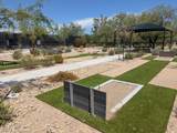 1817 Horsetail Trail - Photo 32