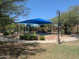 1817 Horsetail Trail - Photo 34