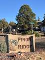 511 Saguaro Circle - Photo 5