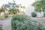 3119 Cochise Drive - Photo 27