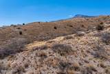 1160 Horny Toad Road - Photo 12