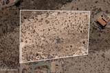 1160 Horny Toad Road - Photo 8