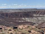 104-02-032 Navajo County - Photo 11