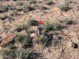 104-02-032 Navajo County - Photo 31