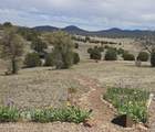 455 Seeley Road - Photo 41