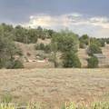 455 Seeley Road - Photo 44