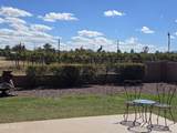 924 Saguaro Drive - Photo 29