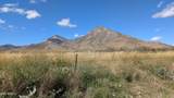 TBD Coronado Memorial Road - Photo 25